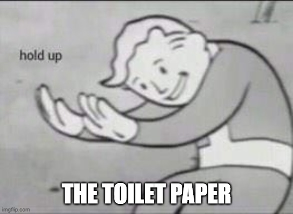 Fallout Hold Up | THE TOILET PAPER | image tagged in fallout hold up | made w/ Imgflip meme maker