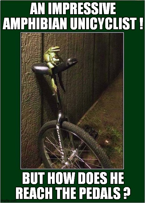 One Talented Frog ! | AN IMPRESSIVE AMPHIBIAN UNICYCLIST ! BUT HOW DOES HE REACH THE PEDALS ? | image tagged in frogs,unicycle | made w/ Imgflip meme maker