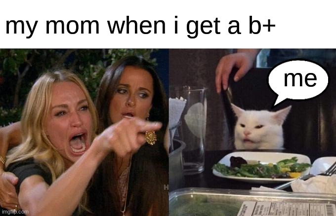 women pointing at cat | my mom when i get a b+; me | image tagged in memes,woman yelling at cat,mad,bad grades | made w/ Imgflip meme maker