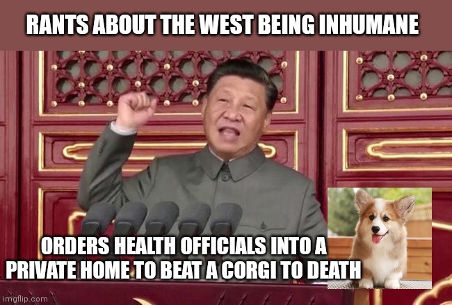 In his war on Covid, dear leader Xi Jinping knows where the biggest threat comes from | RANTS ABOUT THE WEST BEING INHUMANE; ORDERS HEALTH OFFICIALS INTO A PRIVATE HOME TO BEAT A CORGI TO DEATH | image tagged in xi jinping absolute dictator,communist china,inhumane,corgi,china brutality,communist hypocrisy | made w/ Imgflip meme maker