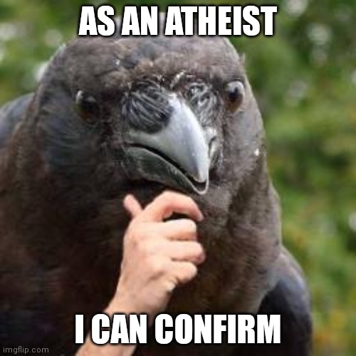 Seems Accurate | AS AN ATHEIST I CAN CONFIRM | image tagged in seems accurate | made w/ Imgflip meme maker