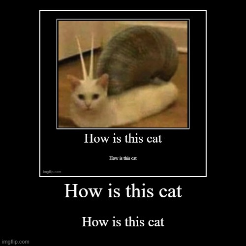 image tagged in funny,demotivationals | made w/ Imgflip demotivational maker