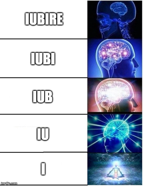 I | IUBIRE; IUBI; IUB; IU; I | image tagged in expanding brain 5 panel | made w/ Imgflip meme maker