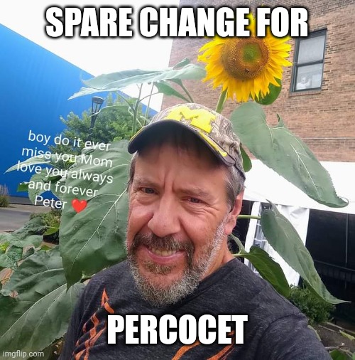 Peter Plant | SPARE CHANGE FOR; PERCOCET | image tagged in peter plant,fun | made w/ Imgflip meme maker