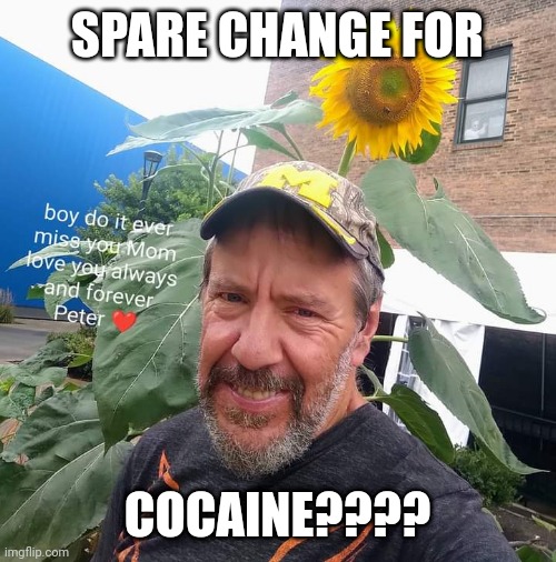 Peter Plant | SPARE CHANGE FOR; COCAINE???? | image tagged in peter plant,begging,upvote begging | made w/ Imgflip meme maker