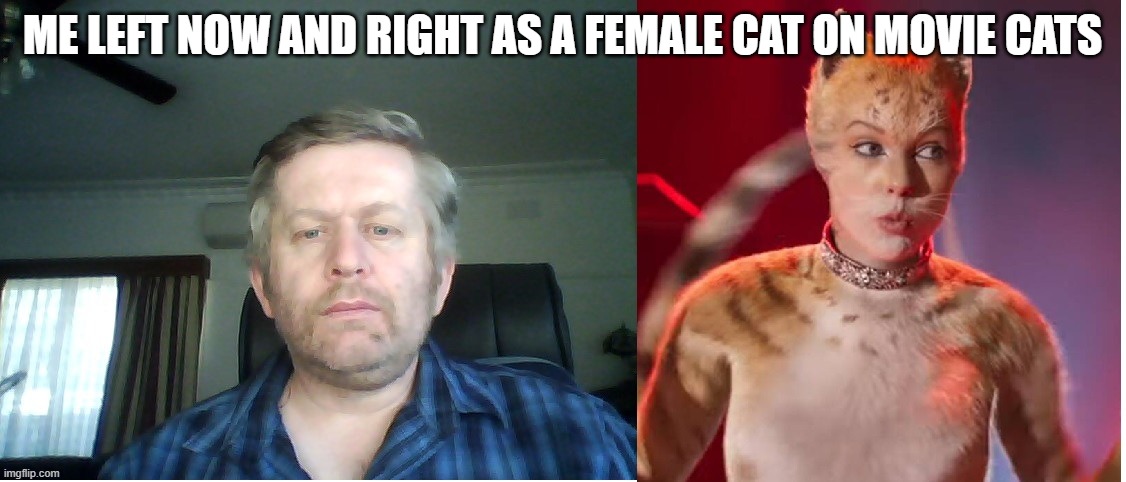 Andrew | ME LEFT NOW AND RIGHT AS A FEMALE CAT ON MOVIE CATS | image tagged in andrew taylor | made w/ Imgflip meme maker