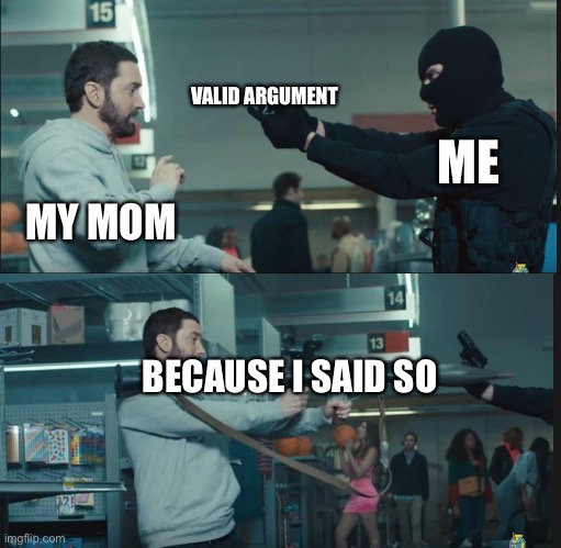 All the time | VALID ARGUMENT; ME; MY MOM; BECAUSE I SAID SO | image tagged in eminem rocket launcher | made w/ Imgflip meme maker