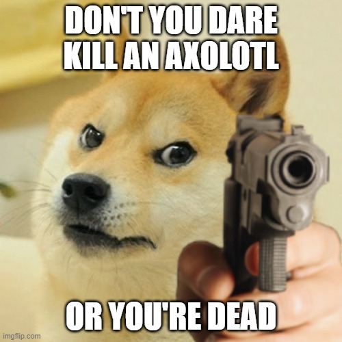 Doge holding a gun | DON'T YOU DARE KILL AN AXOLOTL; OR YOU'RE DEAD | image tagged in doge holding a gun | made w/ Imgflip meme maker