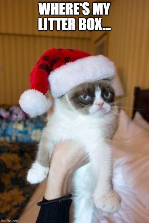 WHERE'S MY LITTER BOX... | image tagged in memes,grumpy cat christmas,grumpy cat | made w/ Imgflip meme maker