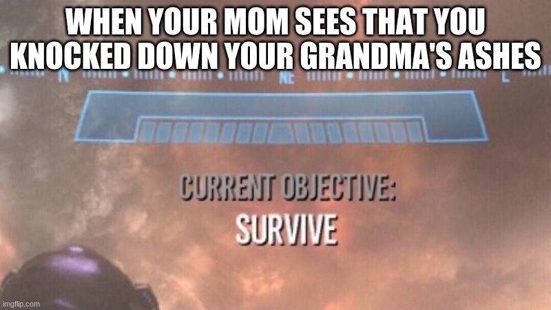 OOF | WHEN YOUR MOM SEES THAT YOU KNOCKED DOWN YOUR GRANDMA'S ASHES | image tagged in current objective survive | made w/ Imgflip meme maker