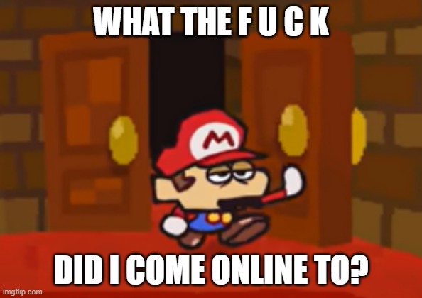 Mario Walks Through The Door Disappointed | WHAT THE F U C K; DID I COME ONLINE TO? | image tagged in mario walks through the door disappointed | made w/ Imgflip meme maker