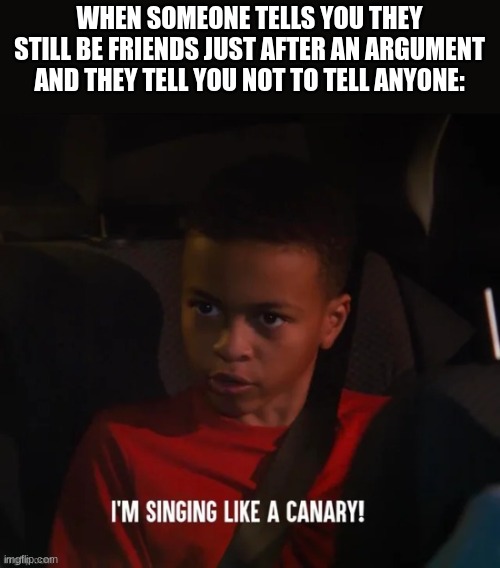 This makes no sense. | WHEN SOMEONE TELLS YOU THEY STILL BE FRIENDS JUST AFTER AN ARGUMENT AND THEY TELL YOU NOT TO TELL ANYONE: | image tagged in i'm gonna pretend i didn't see that | made w/ Imgflip meme maker