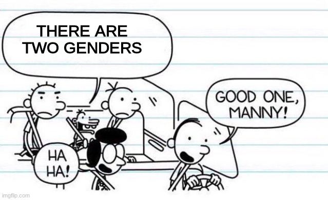 good one manny! | THERE ARE TWO GENDERS | image tagged in good one manny | made w/ Imgflip meme maker