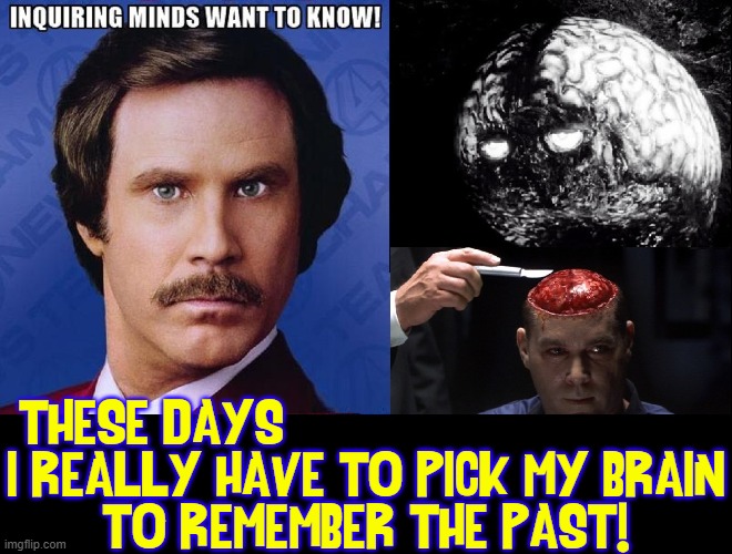 When I saw a kid they said I had a lot of brains. |  THESE DAYS                               
I REALLY HAVE TO PICK MY BRAIN
TO REMEMBER THE PAST! | image tagged in vince vance,ron burgundy,enquiring minds want to know,hannibal,brains,memes | made w/ Imgflip meme maker
