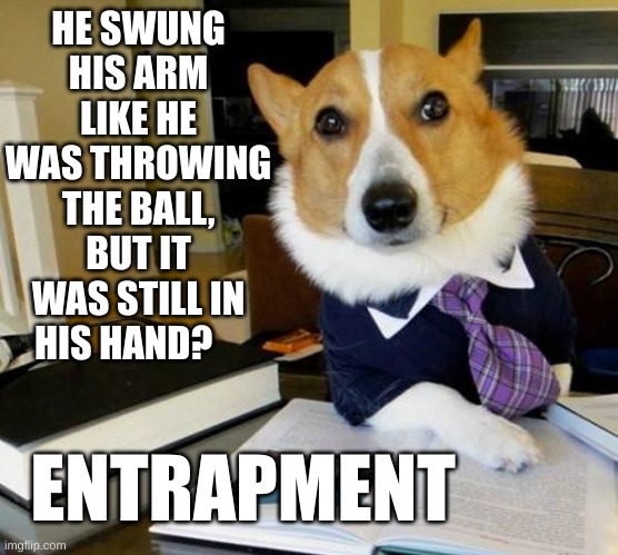 Your Honor, I agree with him. | HE SWUNG HIS ARM LIKE HE WAS THROWING THE BALL, BUT IT WAS STILL IN HIS HAND? ENTRAPMENT | image tagged in lawyer corgi dog | made w/ Imgflip meme maker