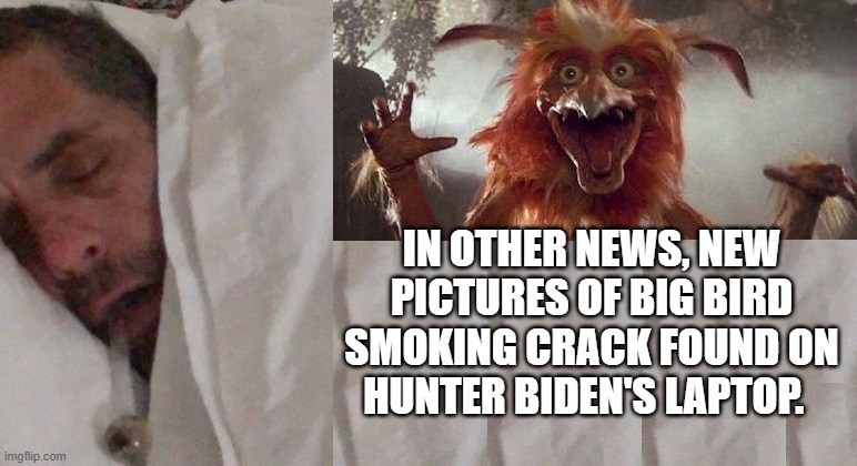 Big Bird pictures found on Hunter Biden's Laptop | IN OTHER NEWS, NEW PICTURES OF BIG BIRD SMOKING CRACK FOUND ON HUNTER BIDEN'S LAPTOP. | image tagged in hunter and bigbird,big bird,hunter,funny memes | made w/ Imgflip meme maker
