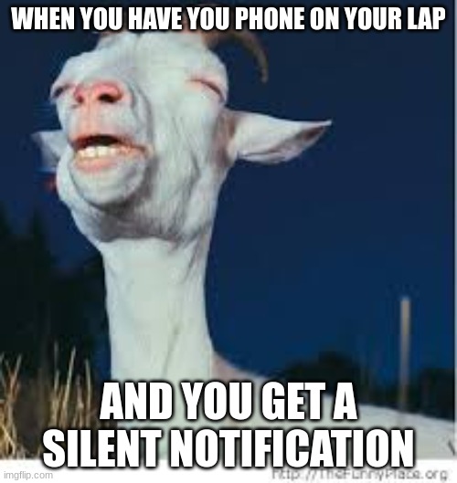 when your phone is on your lap | WHEN YOU HAVE YOU PHONE ON YOUR LAP; AND YOU GET A SILENT NOTIFICATION | image tagged in pleasure goat,notifications | made w/ Imgflip meme maker