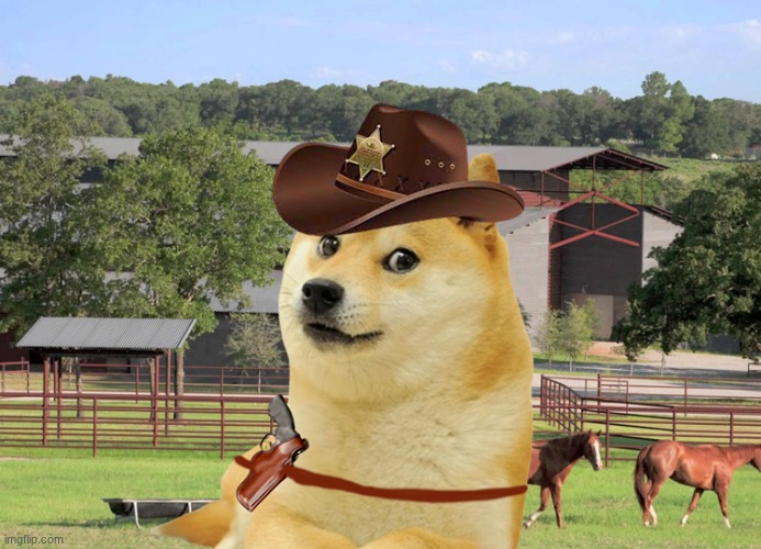 image tagged in cowboy doge | made w/ Imgflip meme maker