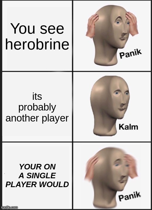 i'm not wrong am I? | You see herobrine its probably another player YOUR ON A SINGLE PLAYER WOULD | image tagged in memes,panik kalm panik | made w/ Imgflip meme maker
