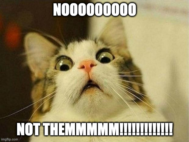 Scared Cat Meme | NOOOOOOOOO NOT THEMMMMM!!!!!!!!!!!!! | image tagged in memes,scared cat | made w/ Imgflip meme maker