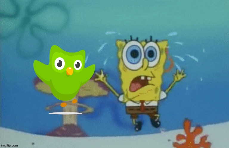 Spongebob running from The Duolingo bird | image tagged in running spongebob | made w/ Imgflip meme maker