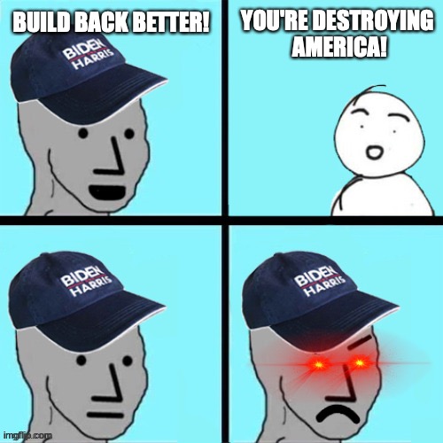 Blue hat npc | YOU'RE DESTROYING 
AMERICA! BUILD BACK BETTER! | image tagged in blue hat npc,BidenBuzz | made w/ Imgflip meme maker