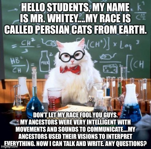 Intelligent cat | HELLO STUDENTS, MY NAME IS MR. WHITEY....MY RACE IS CALLED PERSIAN CATS FROM EARTH. DON’T LET MY RACE FOOL YOU GUYS. MY ANCESTORS WERE VERY INTELLIGENT WITH MOVEMENTS AND SOUNDS TO COMMUNICATE....MY ANCESTORS USED THEIR VISIONS TO INTERPRET EVERYTHING. NOW I CAN TALK AND WRITE. ANY QUESTIONS? | image tagged in memes,chemistry cat,earth,intelligent,students,communication | made w/ Imgflip meme maker
