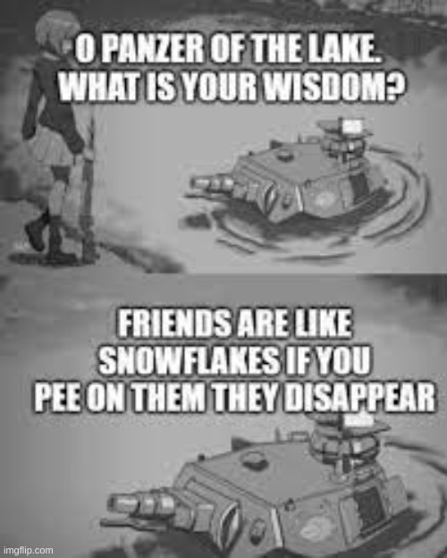 Found on google | image tagged in panzer of the lake | made w/ Imgflip meme maker