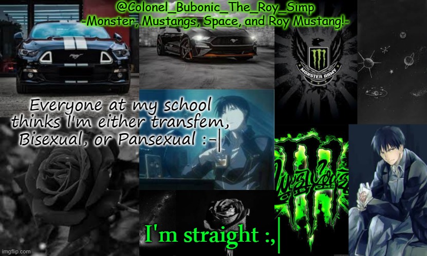 Monster, Mustangs, Space, and Roy Mustang oh my! | Everyone at my school thinks I'm either transfem, Bisexual, or Pansexual :-|; I'm straight :,| | image tagged in monster mustangs space and roy mustang oh my | made w/ Imgflip meme maker