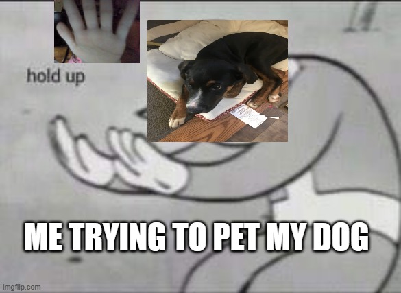 Fallout Hold Up | ME TRYING TO PET MY DOG | image tagged in fallout hold up | made w/ Imgflip meme maker
