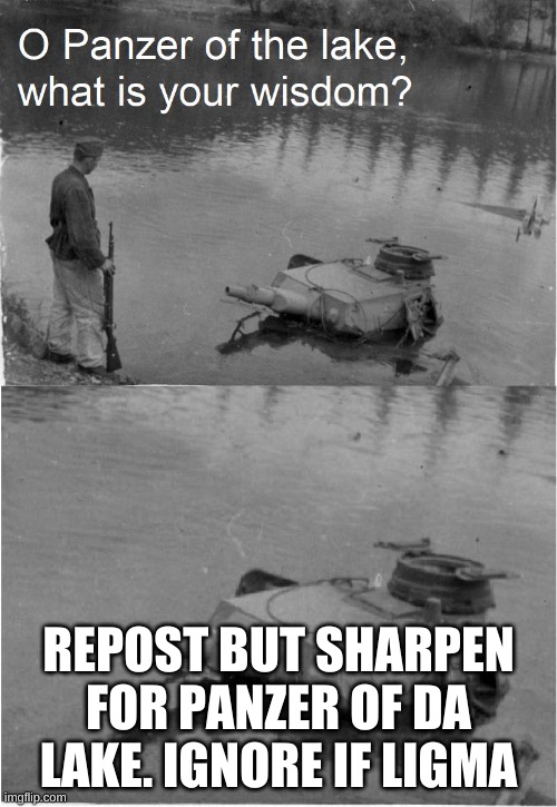 o panzer of the lake | REPOST BUT SHARPEN FOR PANZER OF DA LAKE. IGNORE IF LIGMA | image tagged in o panzer of the lake | made w/ Imgflip meme maker