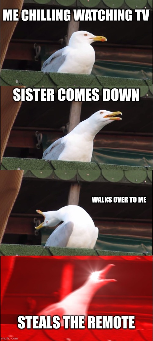 Am I the only one that gets mad | ME CHILLING WATCHING TV; SISTER COMES DOWN; WALKS OVER TO ME; STEALS THE REMOTE | image tagged in memes,inhaling seagull | made w/ Imgflip meme maker