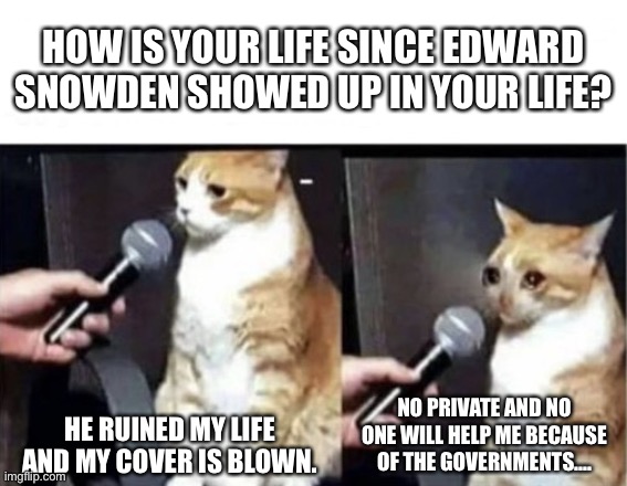 America and Snowden sucks | HOW IS YOUR LIFE SINCE EDWARD SNOWDEN SHOWED UP IN YOUR LIFE? NO PRIVATE AND NO ONE WILL HELP ME BECAUSE OF THE GOVERNMENTS.... HE RUINED MY LIFE AND MY COVER IS BLOWN. | image tagged in crying cat interview horizontal,edward snowden,private,help | made w/ Imgflip meme maker