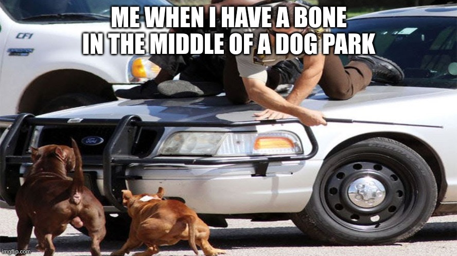Me be like | ME WHEN I HAVE A BONE IN THE MIDDLE OF A DOG PARK | image tagged in funny | made w/ Imgflip meme maker