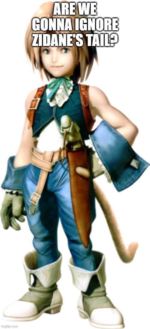 Zidane | ARE WE GONNA IGNORE ZIDANE'S TAIL? | image tagged in zidane | made w/ Imgflip meme maker
