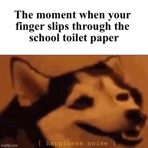 When your finger slips through the toilet paper XD MEME | image tagged in funny memes,funny,happiness noise | made w/ Imgflip meme maker