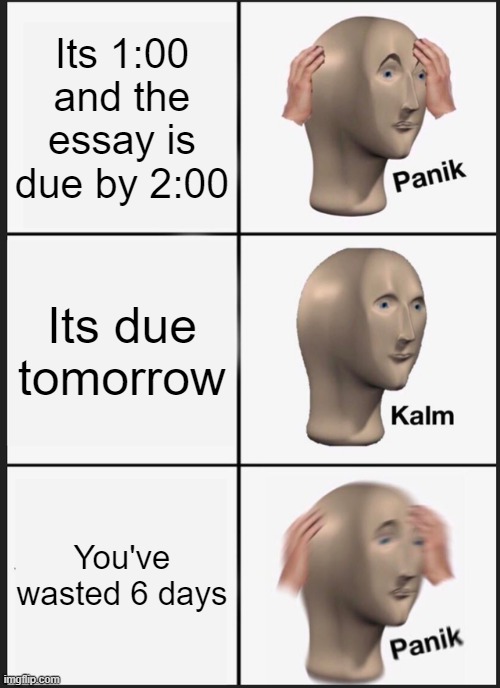 Skool problems | Its 1:00 and the essay is due by 2:00; Its due tomorrow; You've wasted 6 days | image tagged in memes,panik kalm panik | made w/ Imgflip meme maker