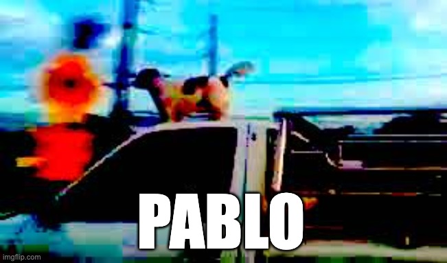 haha funny dog go brrr | PABLO | image tagged in dog | made w/ Imgflip meme maker