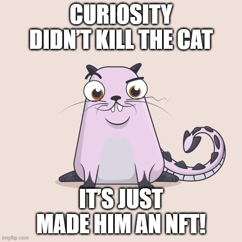 Curiosity Kitty | CURIOSITY DIDN’T KILL THE CAT; IT’S JUST MADE HIM AN NFT! | image tagged in curiosity kitty,crypto,cryptokitties,nft,nftcrypto | made w/ Imgflip meme maker