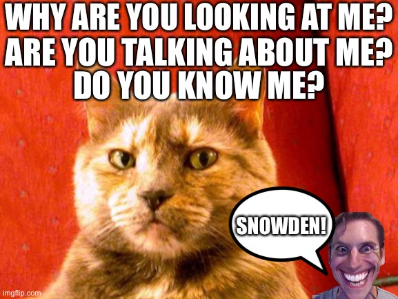 Snowden fan | WHY ARE YOU LOOKING AT ME? ARE YOU TALKING ABOUT ME? DO YOU KNOW ME? SNOWDEN! | image tagged in memes,suspicious cat,edward snowden,looking,talking | made w/ Imgflip meme maker