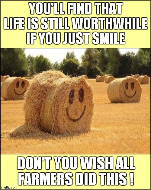 Smile ! | YOU'LL FIND THAT LIFE IS STILL WORTHWHILE IF YOU JUST SMILE; DON'T YOU WISH ALL
FARMERS DID THIS ! | image tagged in fun,smile,hay | made w/ Imgflip meme maker