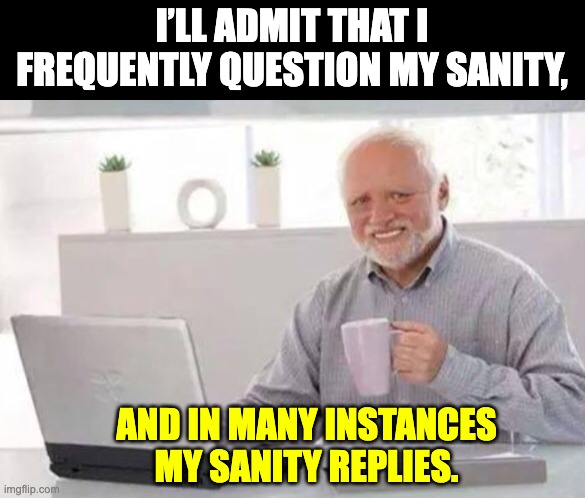 Sanity | I’LL ADMIT THAT I FREQUENTLY QUESTION MY SANITY, AND IN MANY INSTANCES MY SANITY REPLIES. | image tagged in harold | made w/ Imgflip meme maker