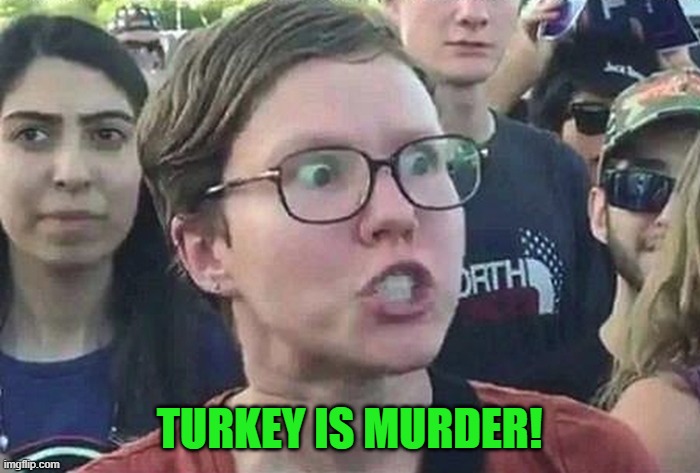 Triggered Liberal | TURKEY IS MURDER! | image tagged in triggered liberal | made w/ Imgflip meme maker