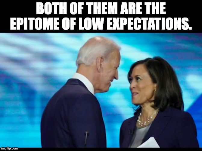 Low Expectations | BOTH OF THEM ARE THE EPITOME OF LOW EXPECTATIONS. | image tagged in kamala and joe | made w/ Imgflip meme maker