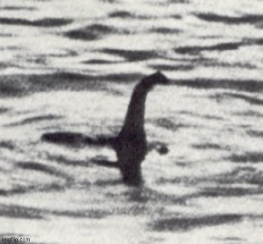 Loch Ness Monster | image tagged in loch ness monster | made w/ Imgflip meme maker