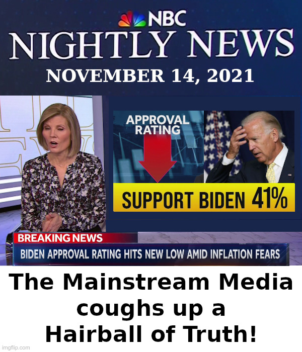 The Mainstream Media Hairball of Truth | image tagged in mainstream media,nbc news,joe biden,letsgobrandon | made w/ Imgflip meme maker
