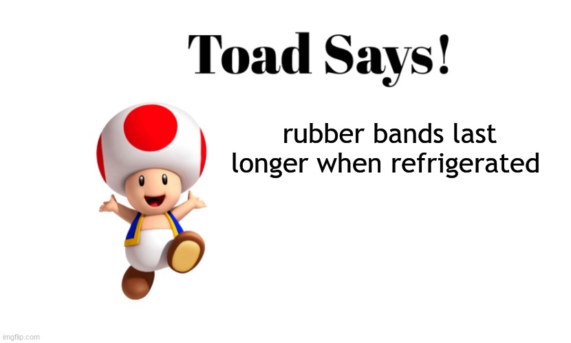 it be true tho | rubber bands last longer when refrigerated | image tagged in toad says,toad,random useless fact of the day | made w/ Imgflip meme maker