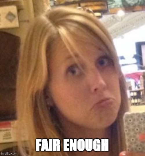 Fair Enough Phyllis | FAIR ENOUGH | image tagged in fair enough phyllis | made w/ Imgflip meme maker