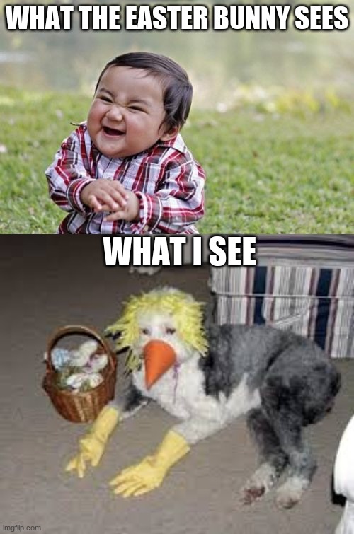 Ah yes, the Easter Bunny | WHAT THE EASTER BUNNY SEES; WHAT I SEE | image tagged in memes,evil toddler | made w/ Imgflip meme maker