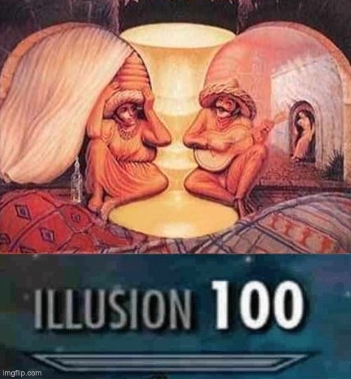 The old people illusion got me :D | image tagged in illusion 100,memes | made w/ Imgflip meme maker